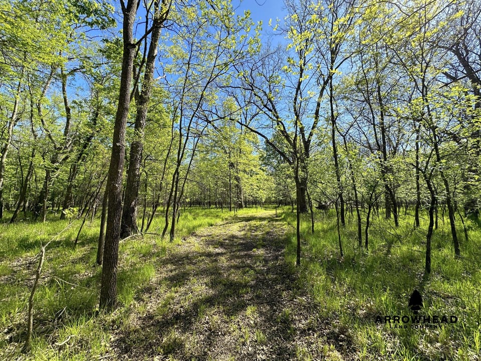 Rural Living & Hunting Opportunity
