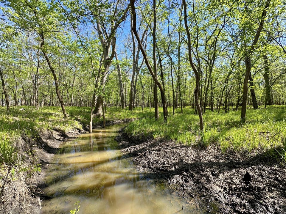 Rural Living & Hunting Opportunity