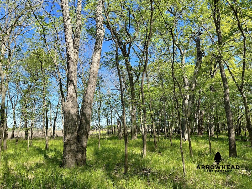 Rural Living & Hunting Opportunity