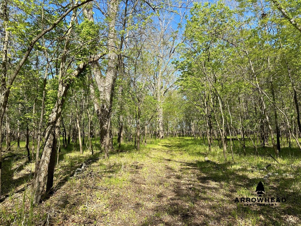 Rural Living & Hunting Opportunity