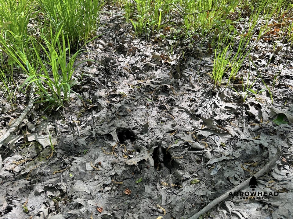 Rural Living & Hunting Opportunity