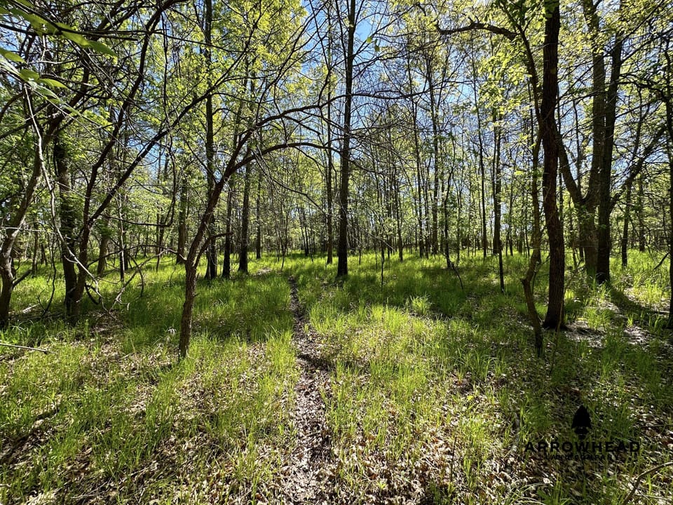 Rural Living & Hunting Opportunity