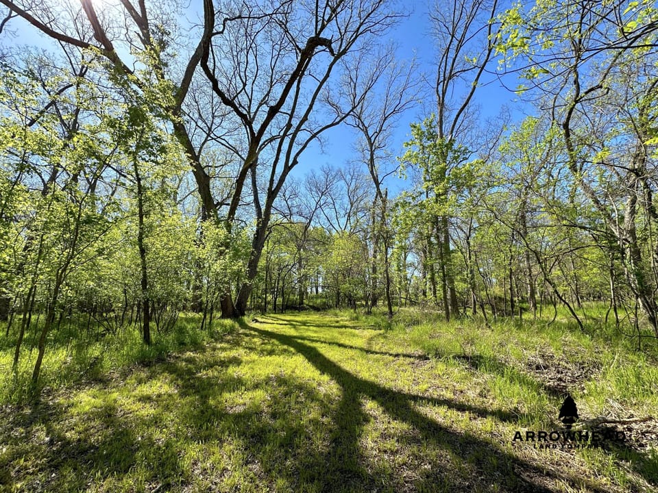 Rural Living & Hunting Opportunity