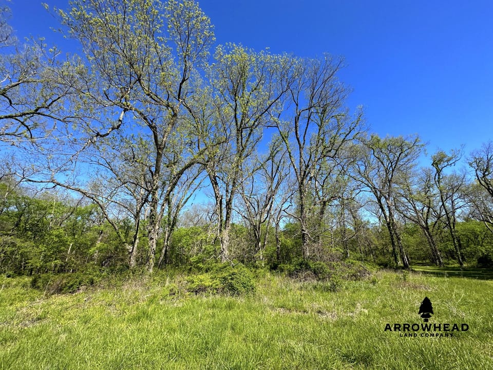 Rural Living & Hunting Opportunity