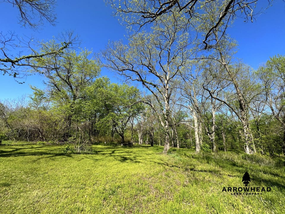Rural Living & Hunting Opportunity