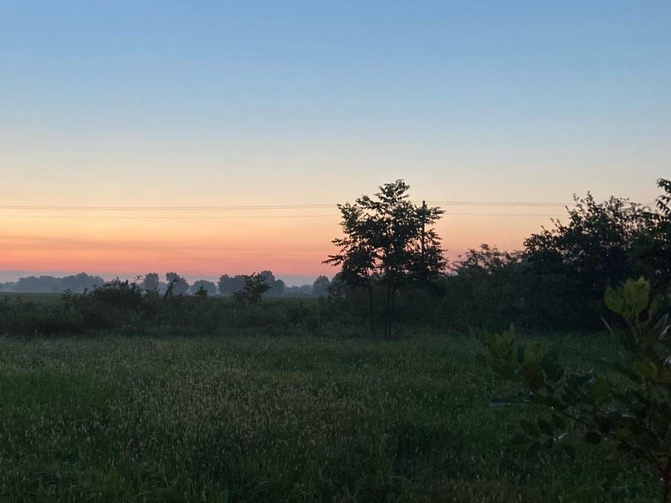 Rural Living & Hunting Opportunity