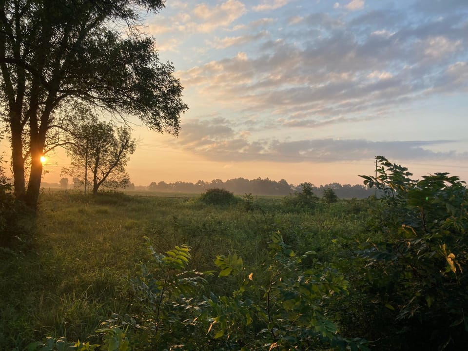 Rural Living & Hunting Opportunity