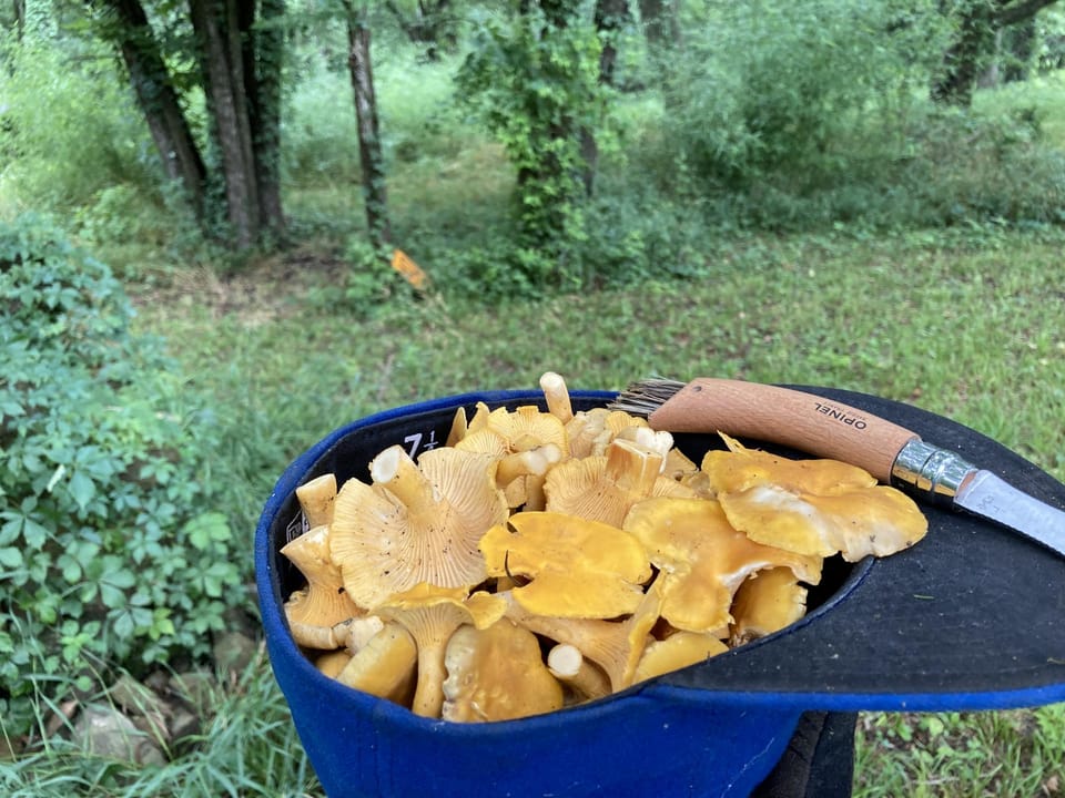 Rural Living & Hunting Opportunity