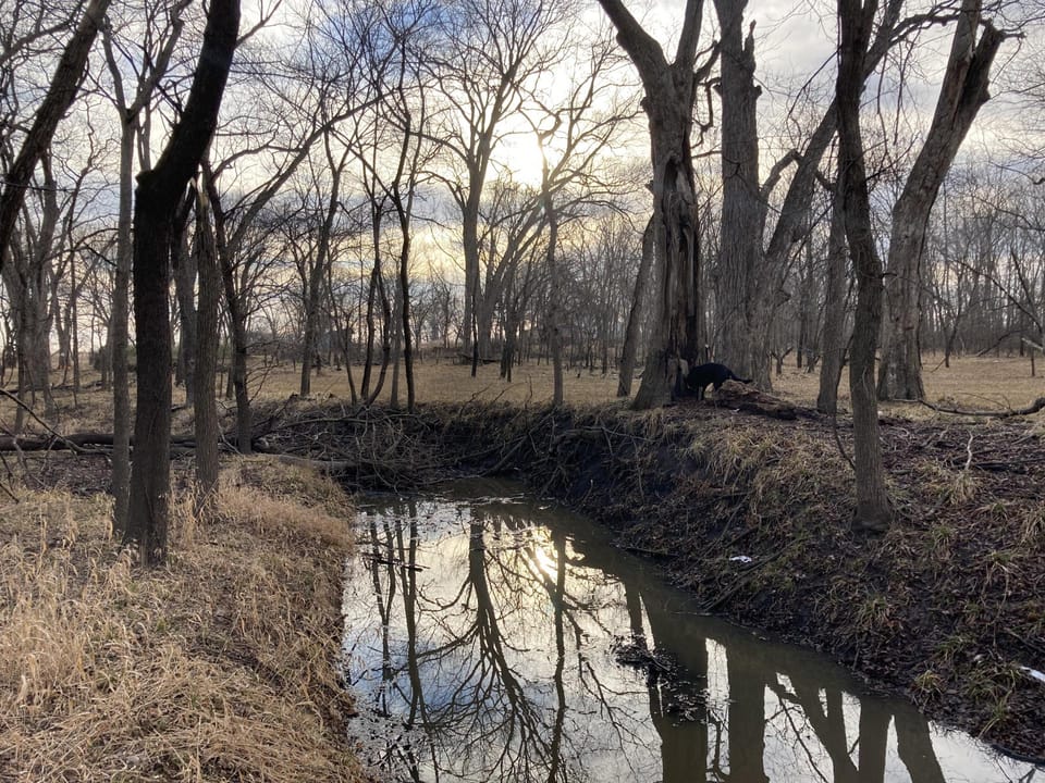 Rural Living & Hunting Opportunity