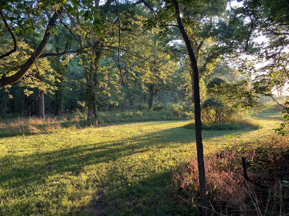 Rural Living & Hunting Opportunity