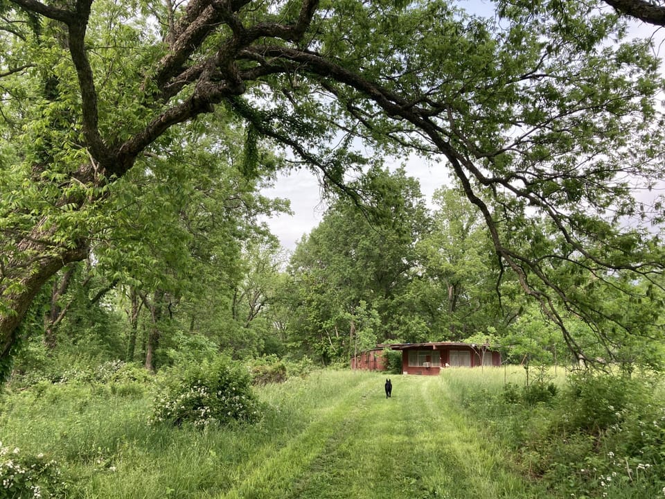 Rural Living & Hunting Opportunity
