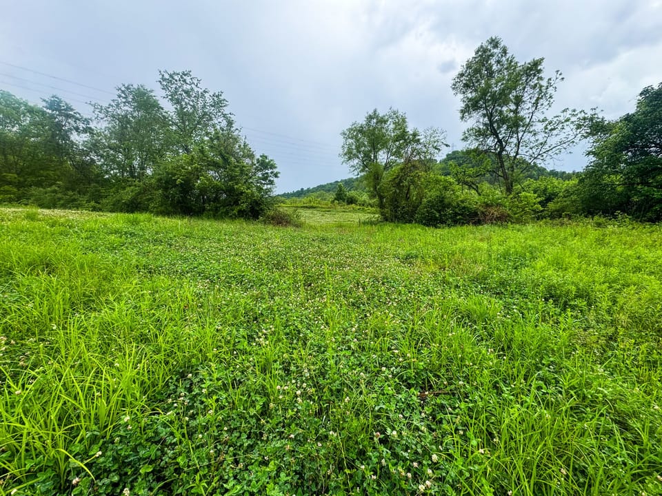 Img 9415