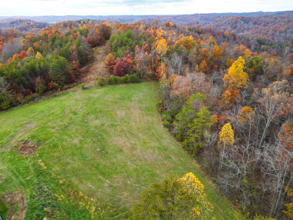 Dji 0103