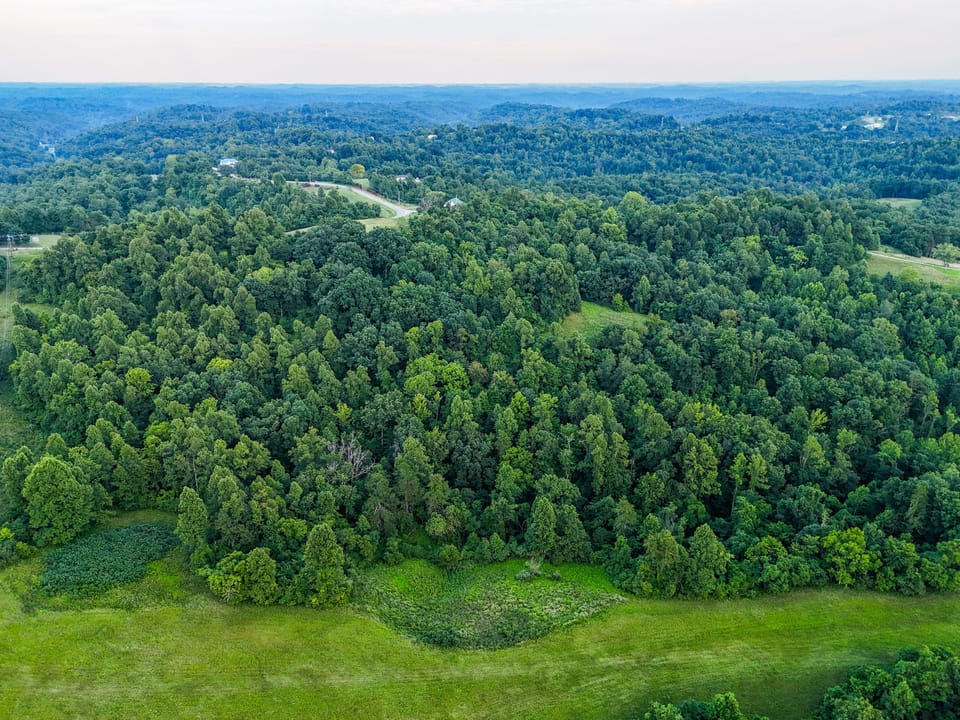 Dji 20260725200202 0177 D