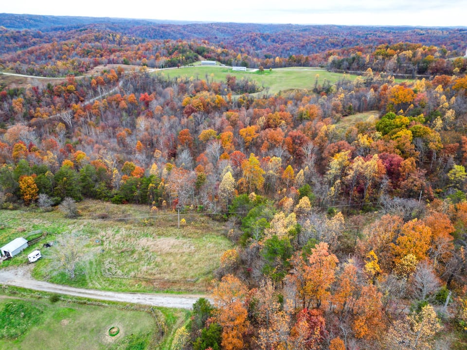 Dji 0118
