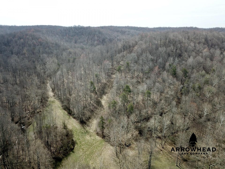 Wooded Paradise