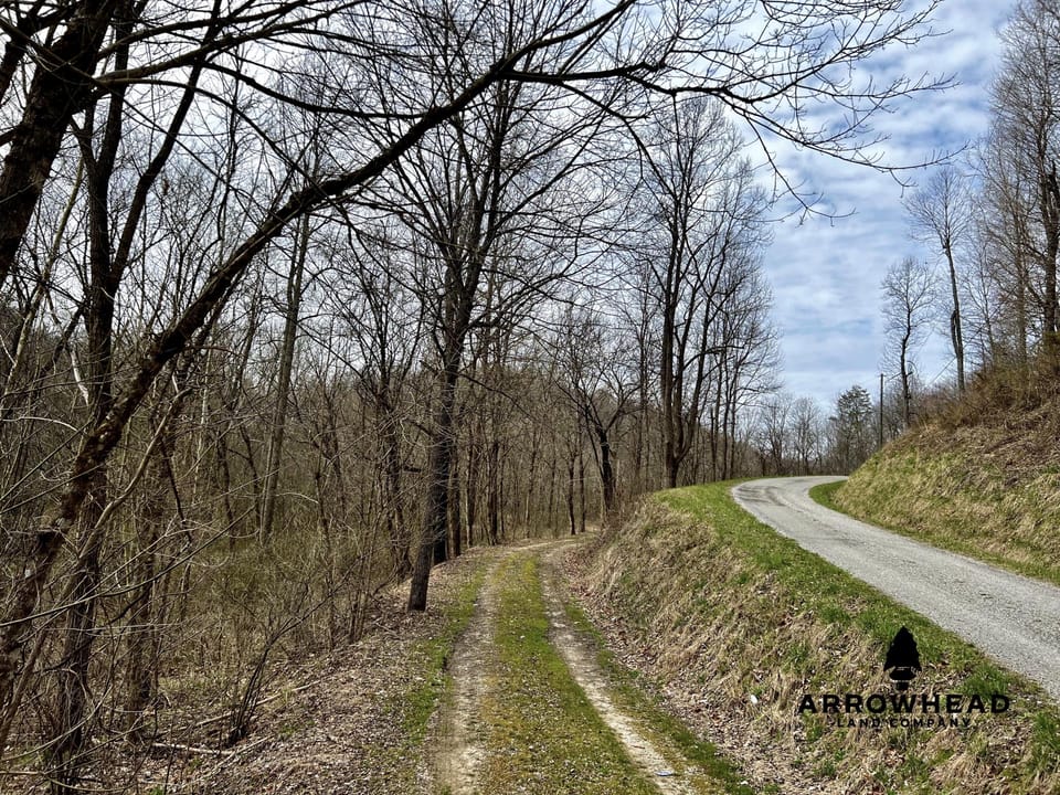 Wooded Paradise
