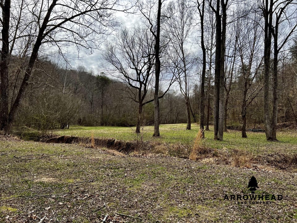 Wooded Paradise