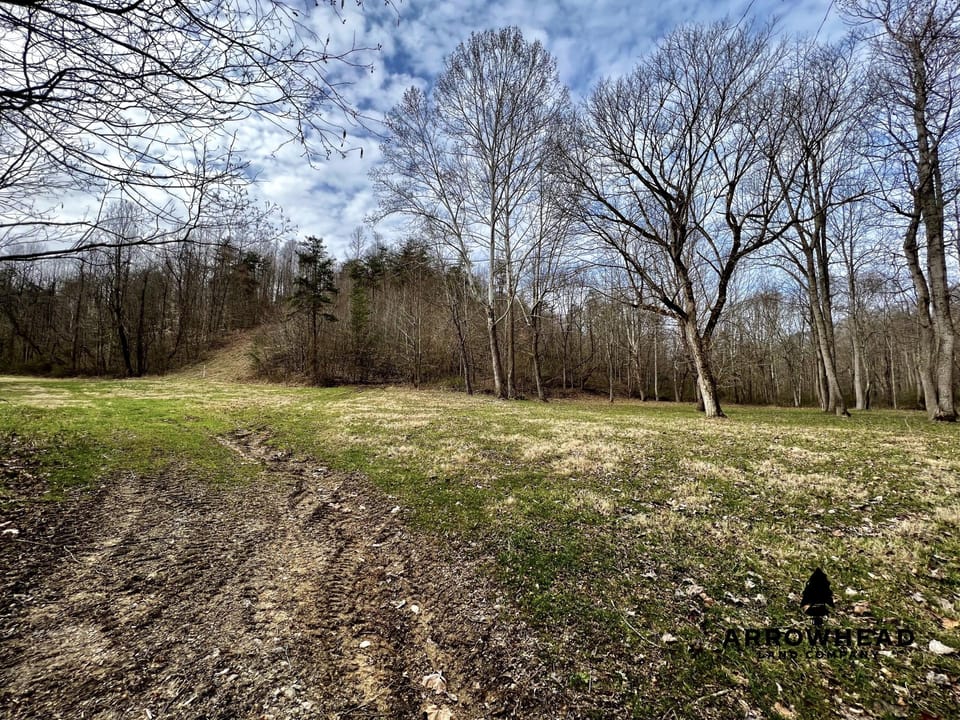 Wooded Paradise