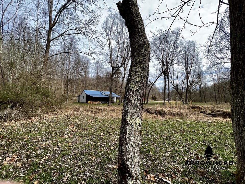 Wooded Paradise