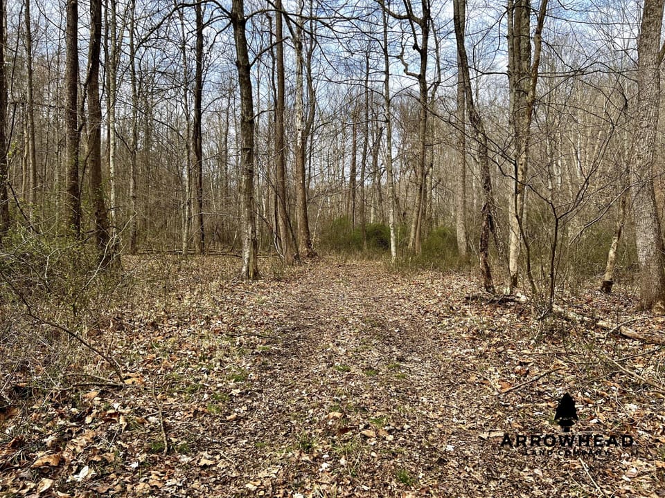 Wooded Paradise