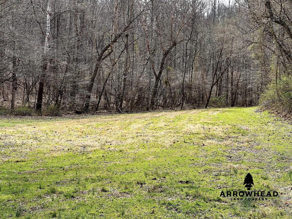 Wooded Paradise