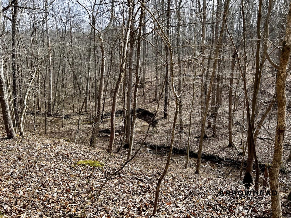 Wooded Paradise