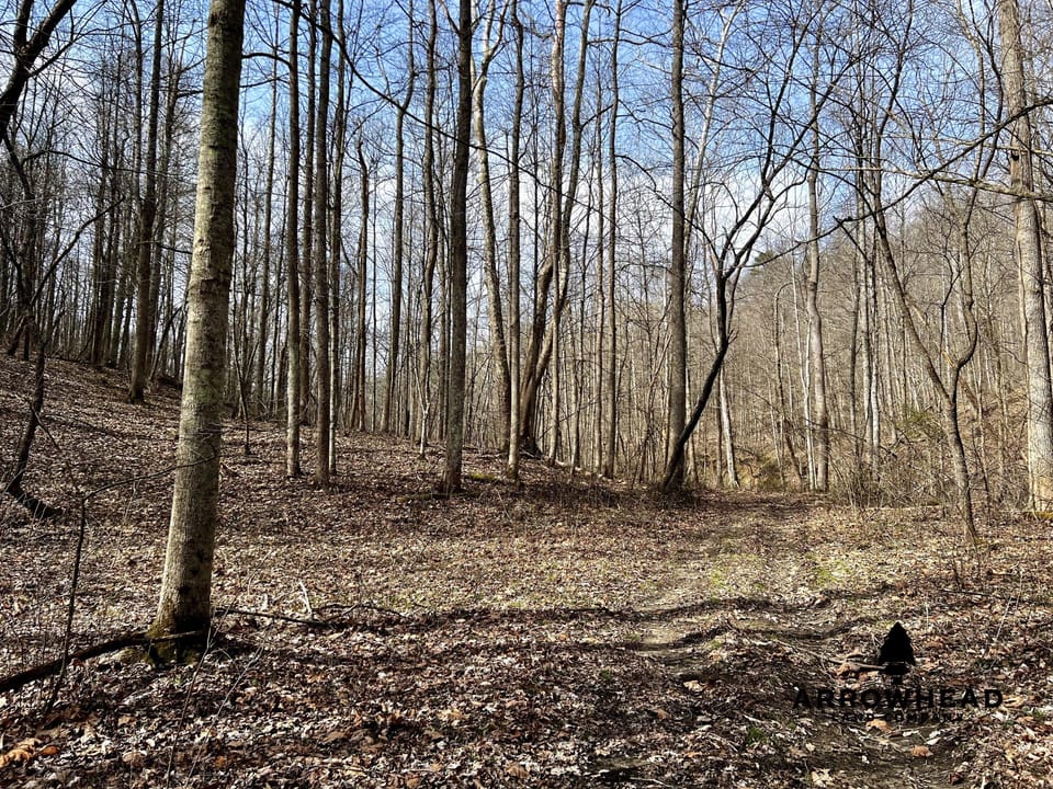 Wooded Paradise