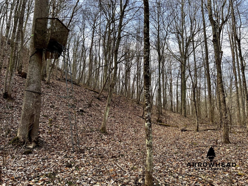 Wooded Paradise