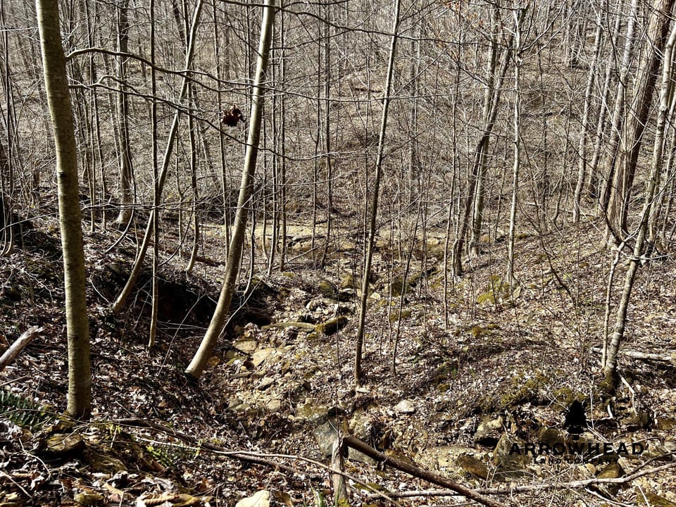 Wooded Paradise
