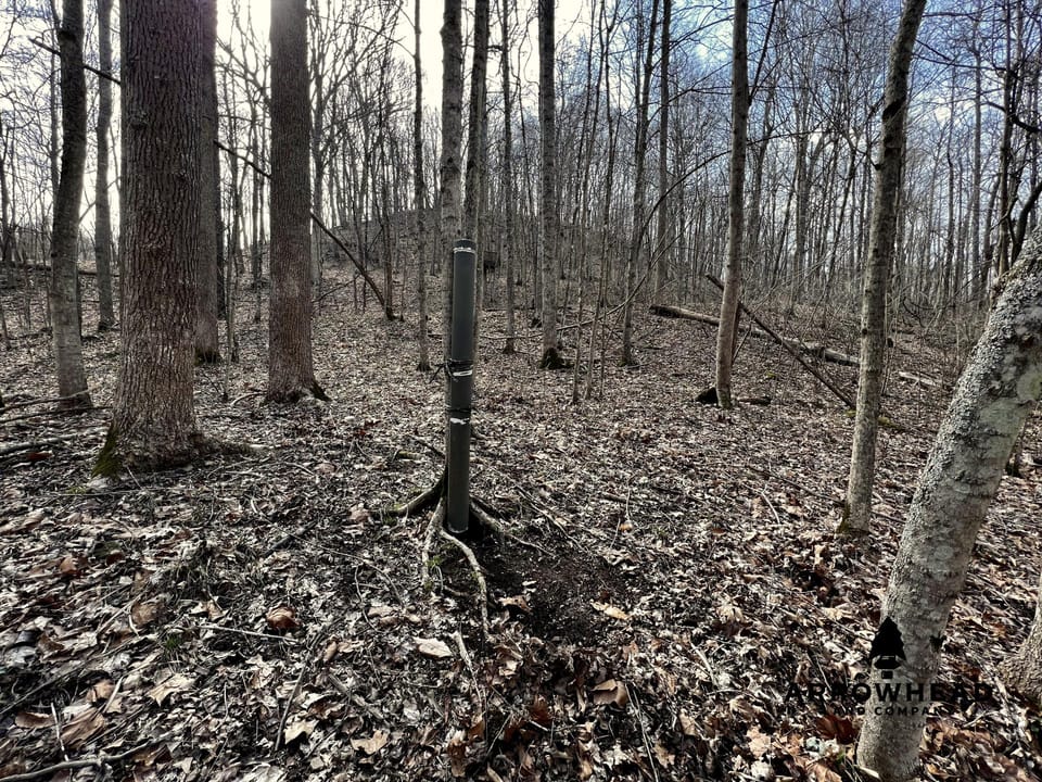 Wooded Paradise