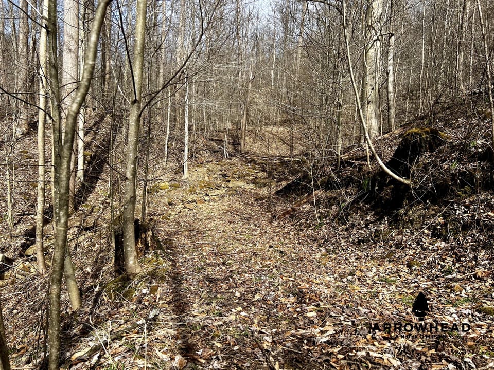 Wooded Paradise