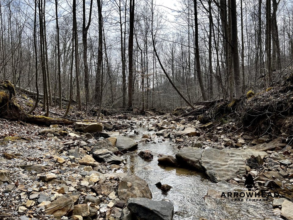 Wooded Paradise