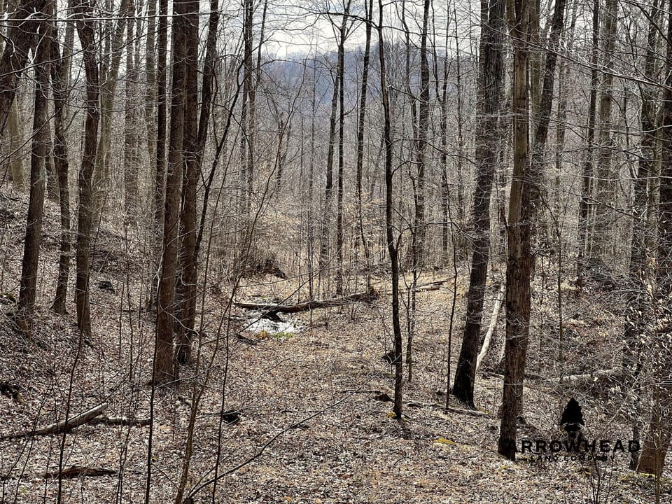 Wooded Paradise