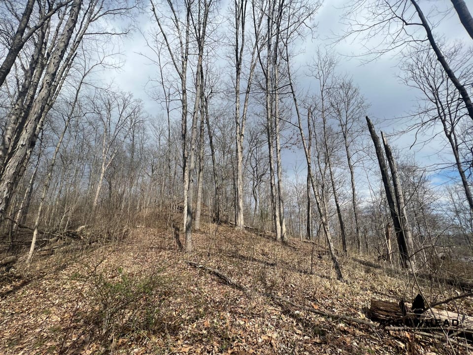 Great Hunting Property