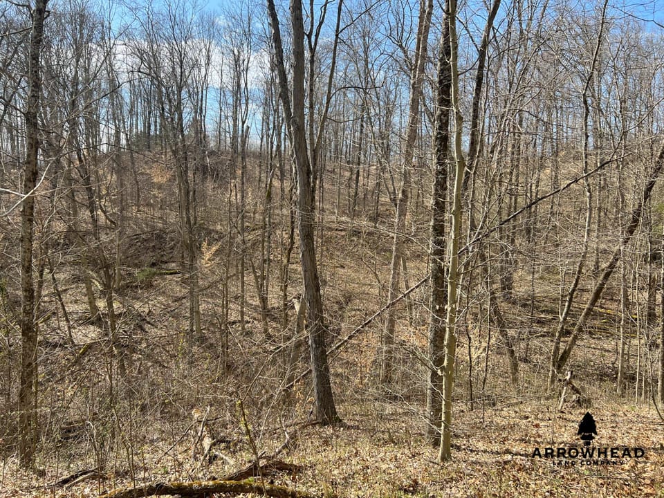Great Hunting Property