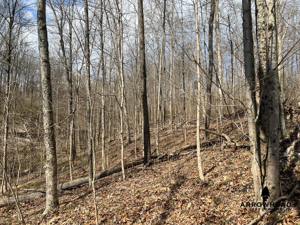 Great Hunting Property