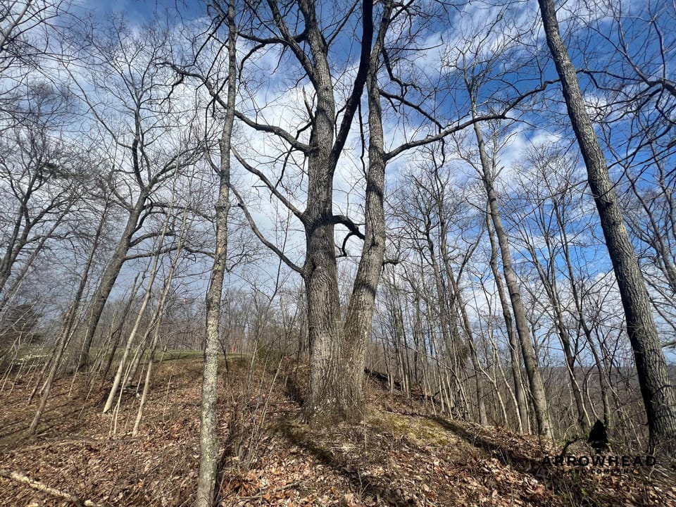 Great Hunting Property