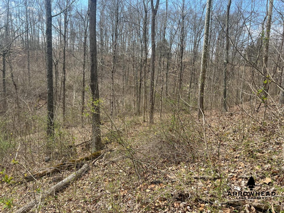 Great Hunting Property