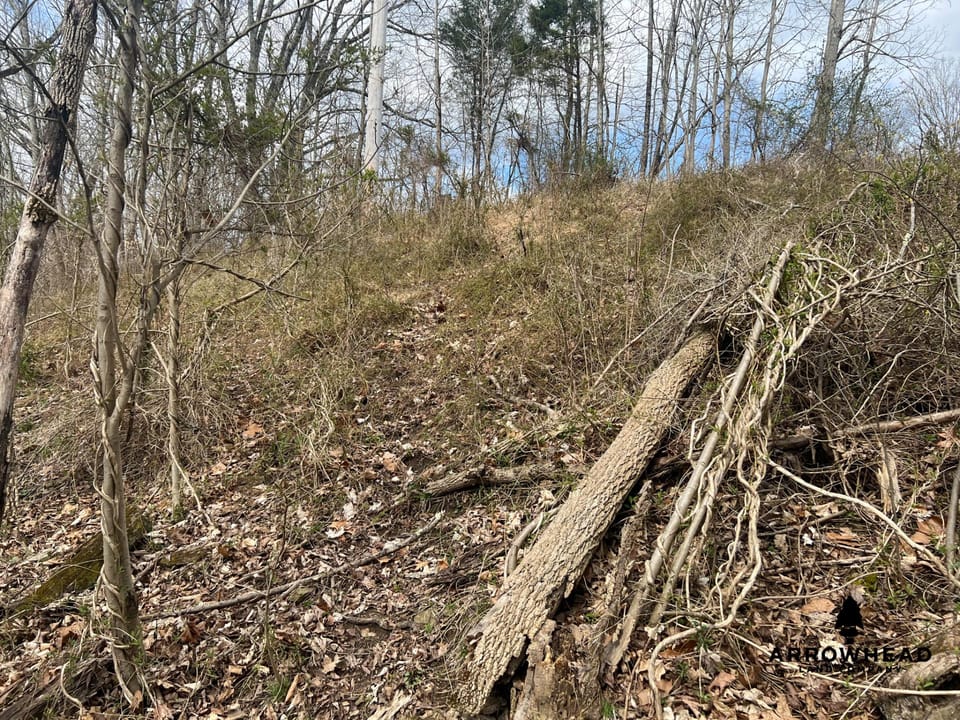 Great Hunting Property