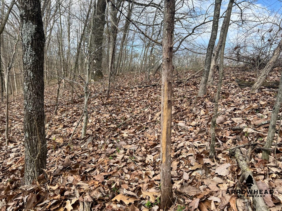 Great Hunting Property