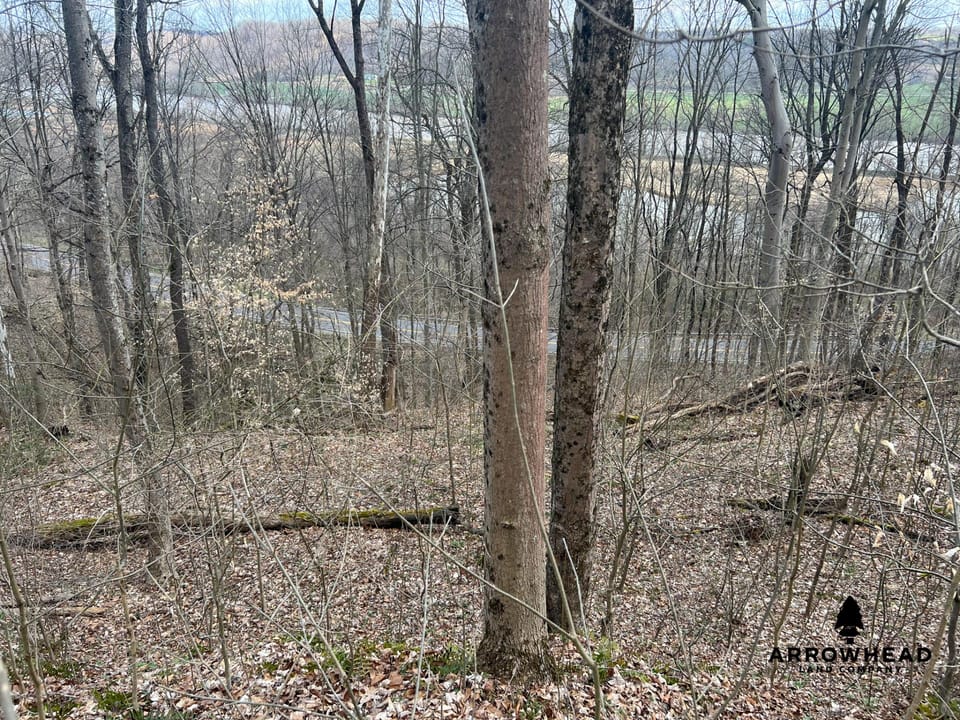 Great Hunting Property