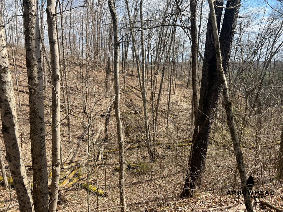 Great Hunting Property