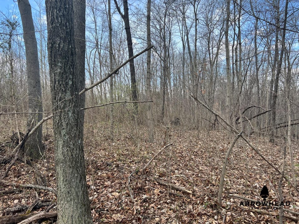 Great Hunting Property