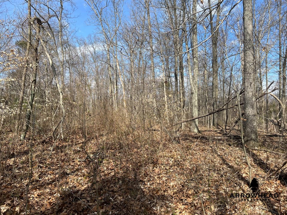 Great Hunting Property