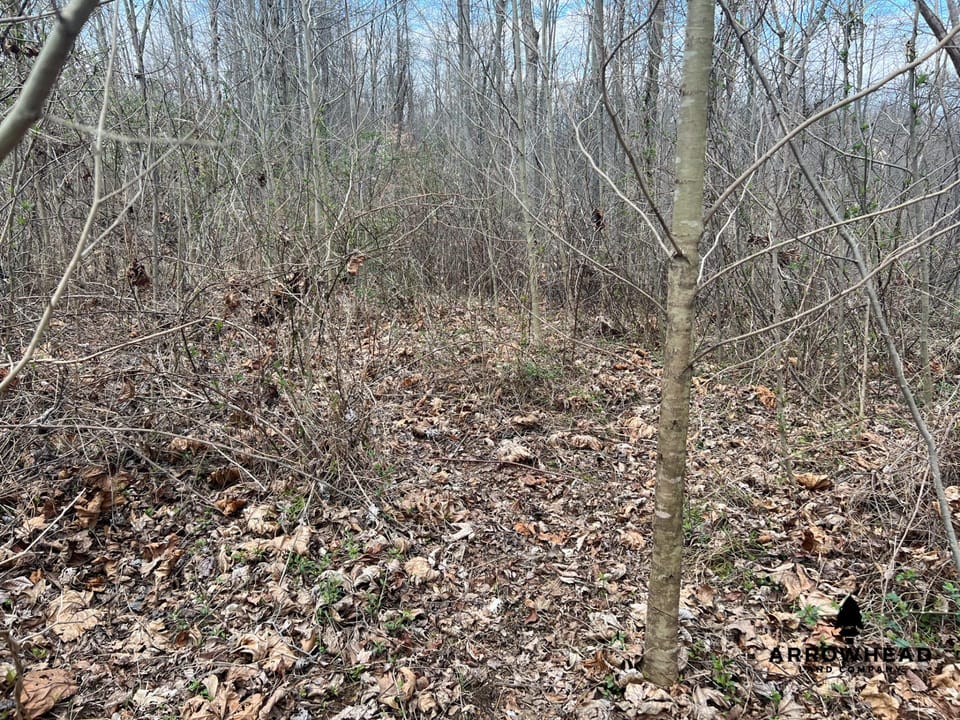 Great Hunting Property