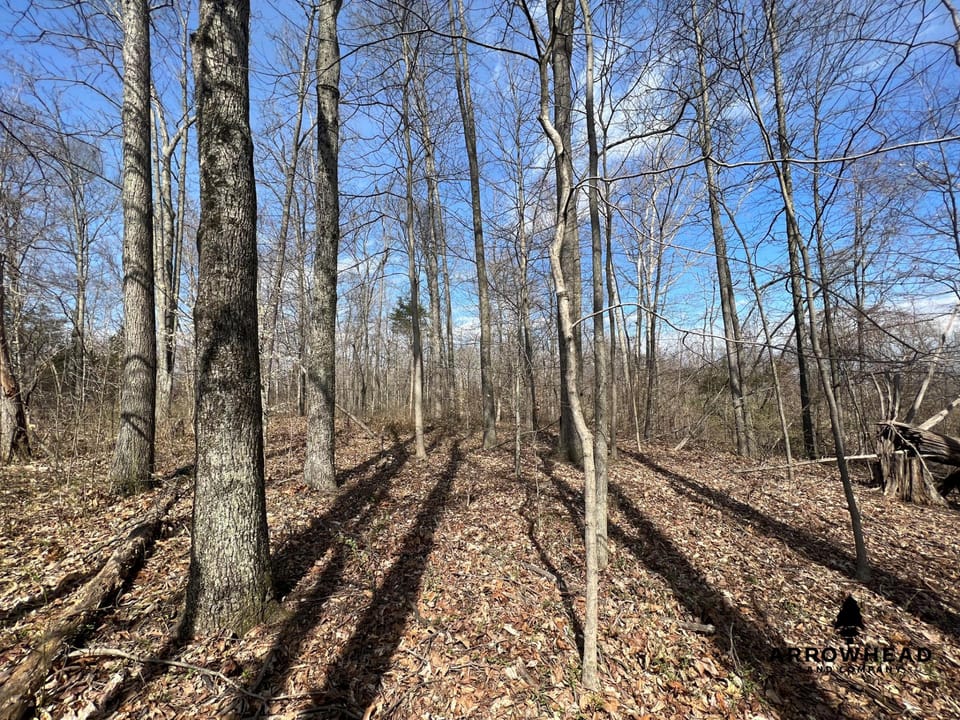 Great Hunting Property