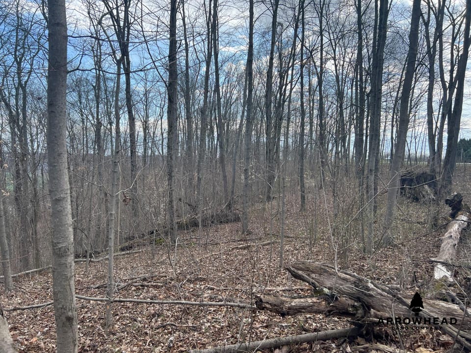 Great Hunting Property