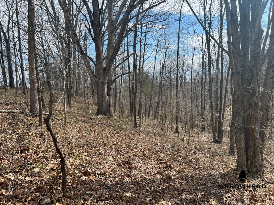 Great Hunting Property