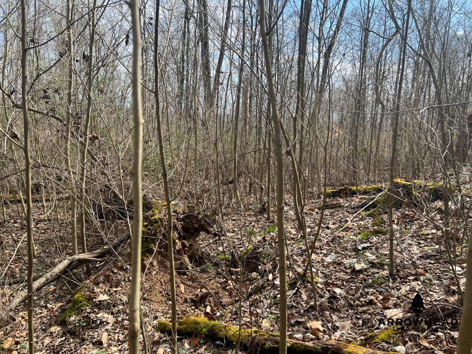 Great Hunting Property